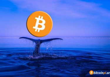 whale-bitcoin