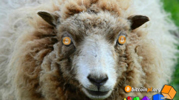sheep-crypto-bitcoin
