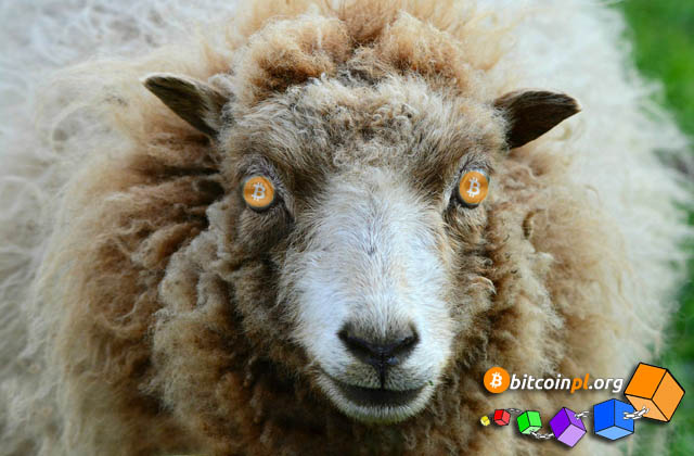 sheep-crypto-bitcoin