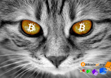 bitcoincat-hardfork