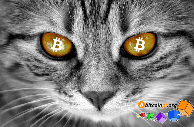 bitcoincat-hardfork