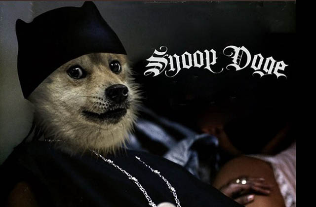 snoopdoge1